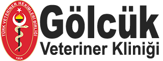Gölcük Veteriner Kliniği